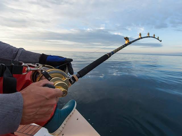 Deep-Sea Commercial Fishing